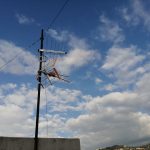 Aggiornamento impianto digitale terrestre - 002 - L'antenna